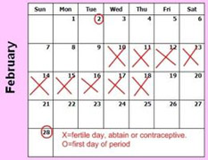 Image of caledar with x's to track rhythm method birth control